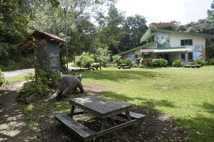 Monteverde Local Experience Guided Tour From Monteverde - Photo 1 of 6